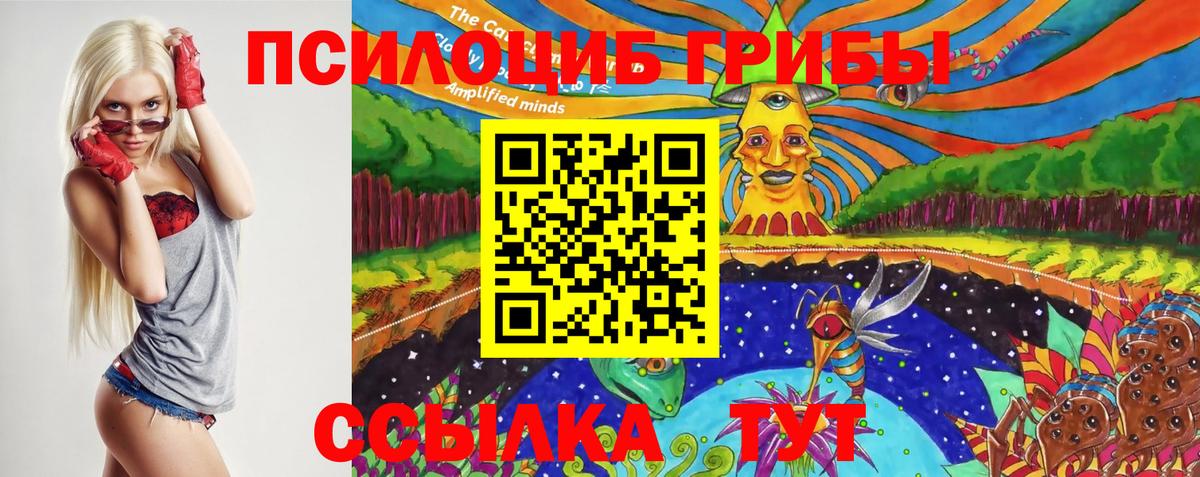 Галлюциногенные грибы Magic Shrooms  Вход с VPN  Галлюциногенные грибы Magic Shrooms  Анжеро-Судженск 
